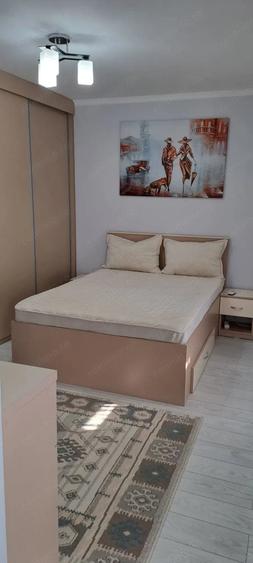 Apartament 1 camera Zona IREG Etaj 3 - 1