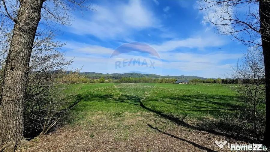 Teren în Nemțișor