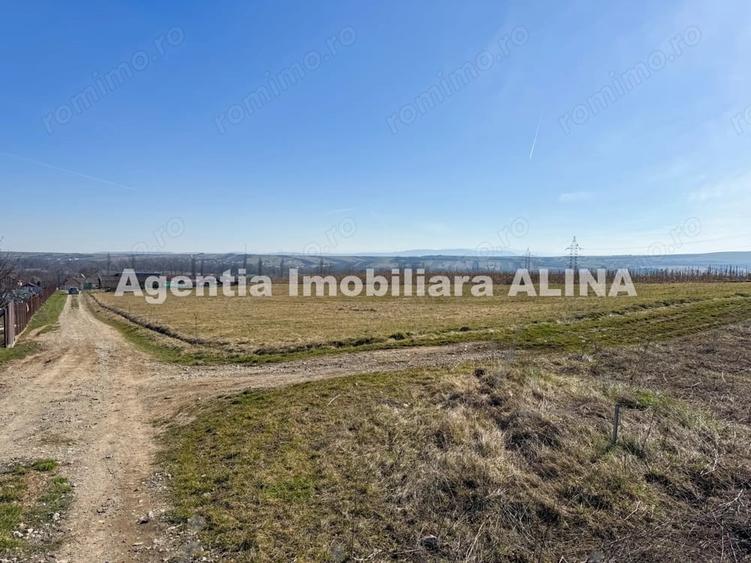 Teren de 680 mp, în Peștișu Mare