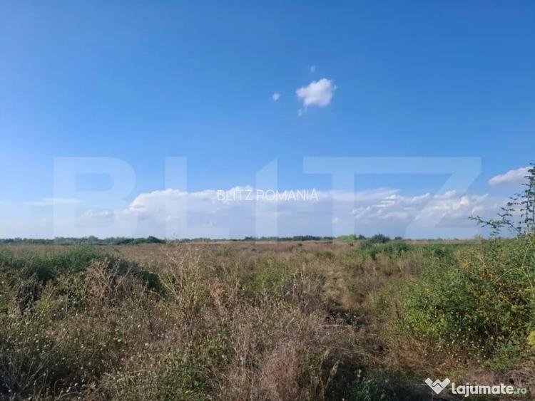 Teren extravilan de vanzare, 4.64 hectare, zona Matasaru - Matasaru (Dambovita)
