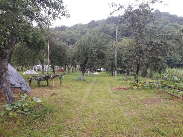 Casă cu 3 camere cu Canalizare în Baia de Aramă