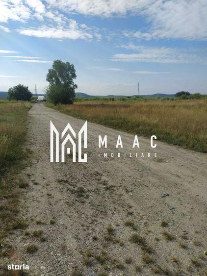Teren Extravilan I 1100 MP I Valea Avrigului - 3