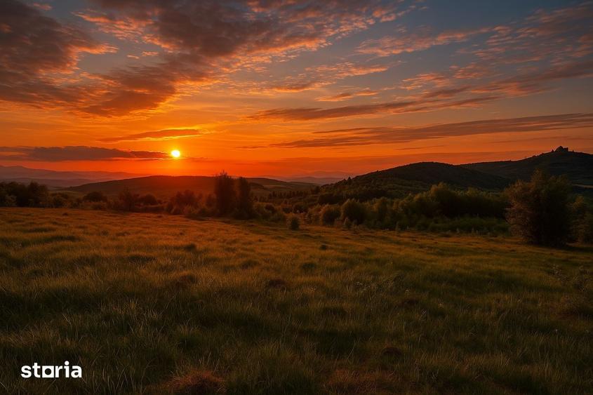 Teren de 1050 mp, în Ciurila