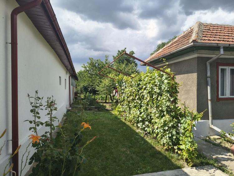 Casă cu 4 camere în Adâncata