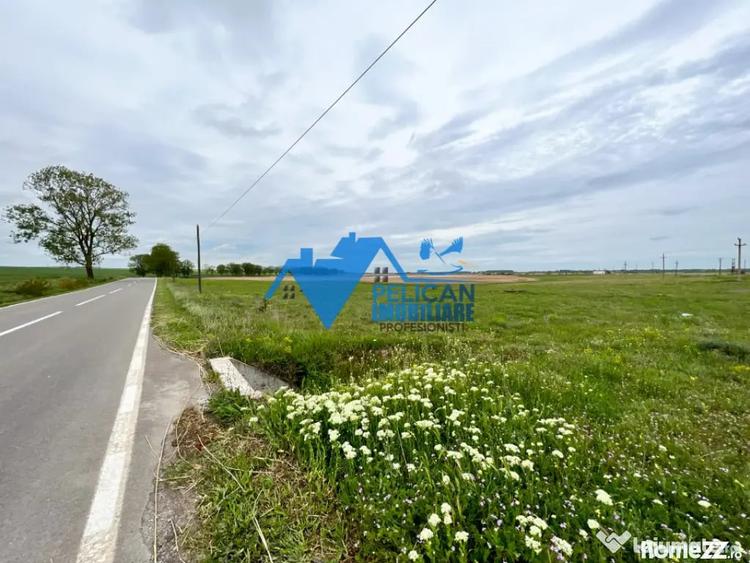 Teren de 27500 mp, în Murighiol