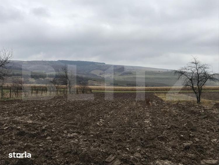 Casă cu 3 camere cu Teren 3400 Mp în Vulturești