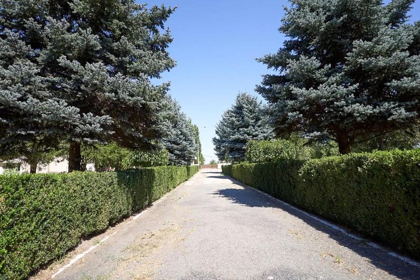 Teren Construcții intravilan de 7350 mp, în Exterior Nord