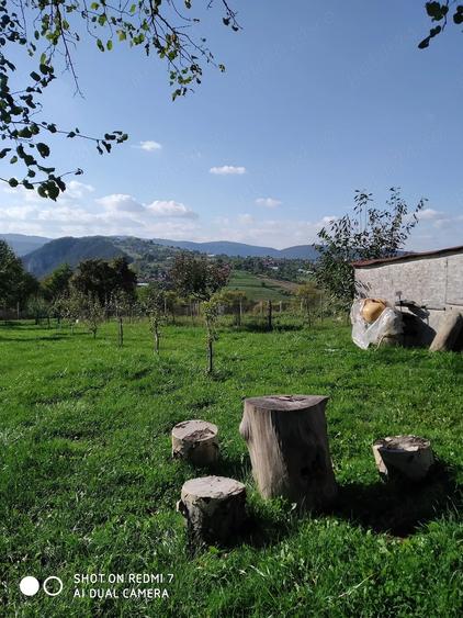 Casă cu 3 camere cu Teren 2931 Mp în Bălnaca
