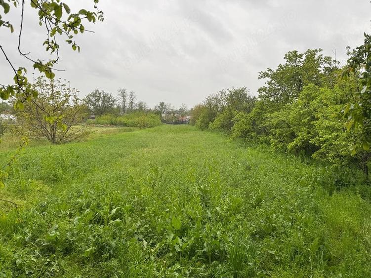 Teren de 2200 mp, în Gostinu