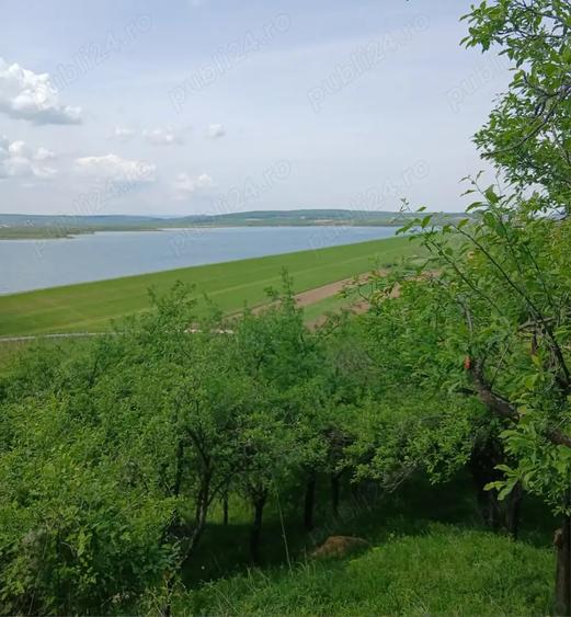 Teren de 6300 mp, în Recea