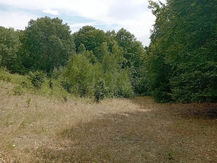Teren de 3500 mp, în Valea Babei