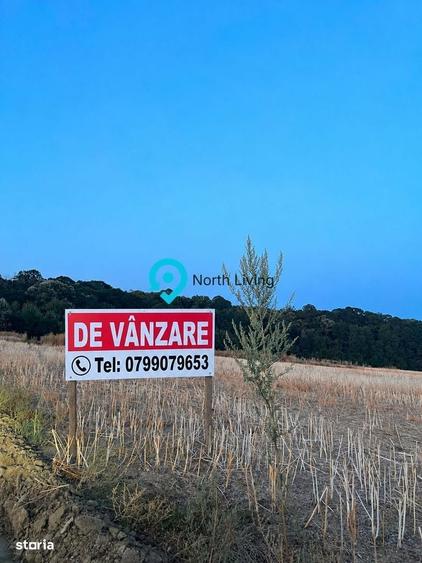 4 Loturi Teren De 400Mp La 18.000 Euro(Posibilitate Rate La Proprietar - 1