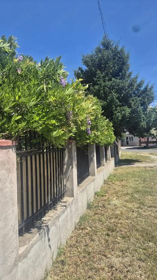 Casă cu Teren 2085 Mp în Central