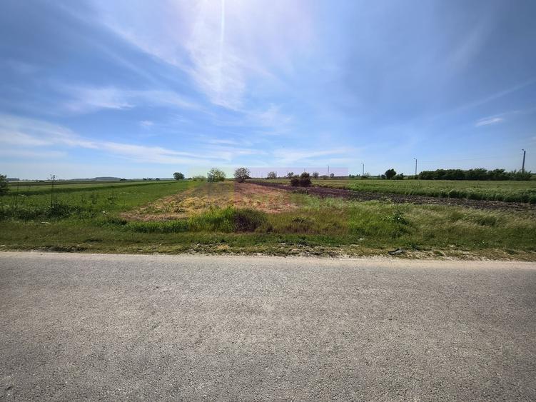 Teren Construcții intravilan de 4770 mp, în Dărăști-Ilfov