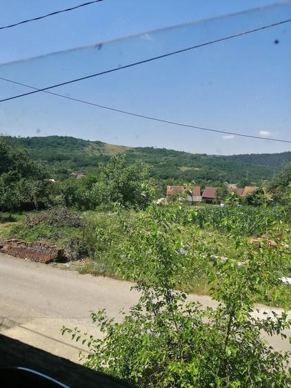 Teren de 1950 mp, în Sasca Română