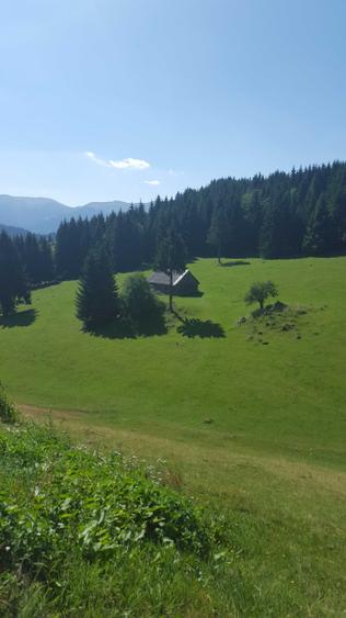 Teren de 7000 mp, în Fundata