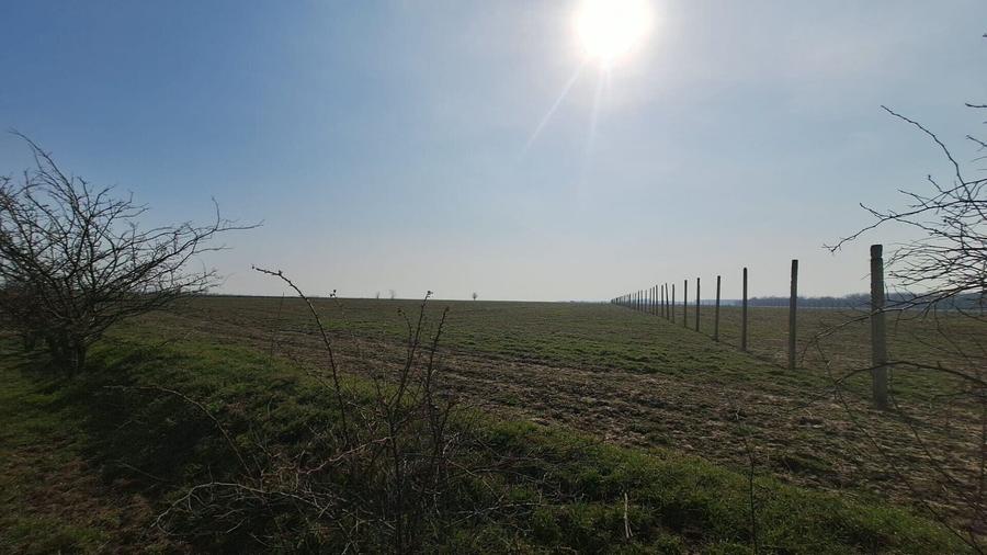 Teren Construcții intravilan de 6650 mp, în Bălăceanca