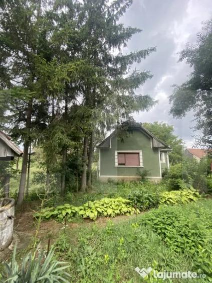 Casă cu 3 camere cu Teren 2100 Mp în Central