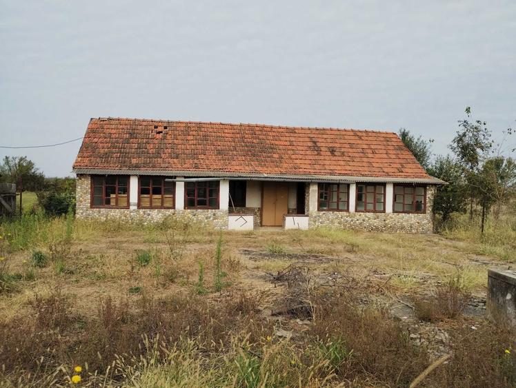 Casa veche din 1955 si teren intravilan 6153 mp,Localitate Sinersig,Jud Timis - 3