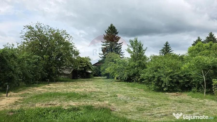Domeniu rural, gospodarie/multifunctionala cu casa, livad... - 15