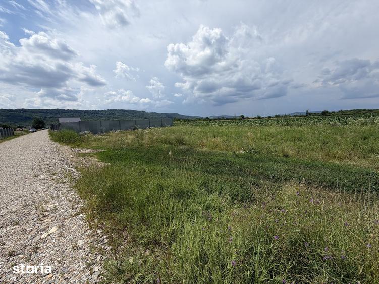 Teren de 884 mp, în Central
