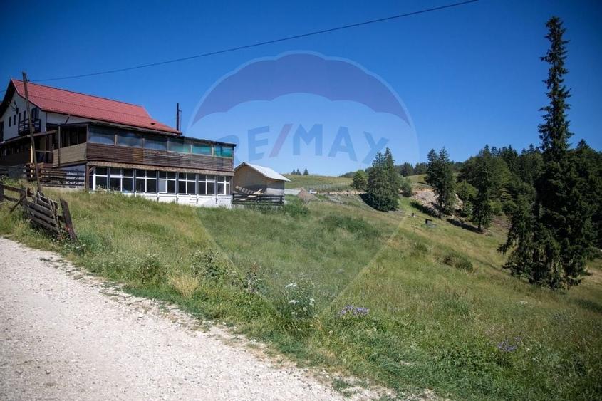 Teren agricol extravilan de 56599 mp, în Dâmbovicioara