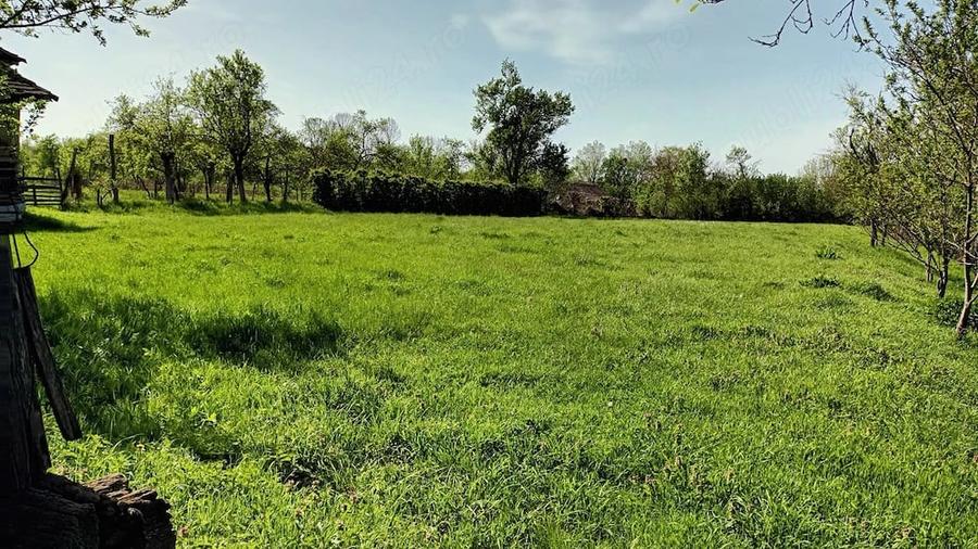 Casă cu Teren 200 Mp în Central