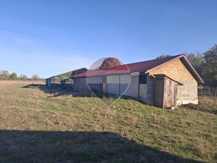 Teren Construcții extravilan de 51004 mp, în Săpânța