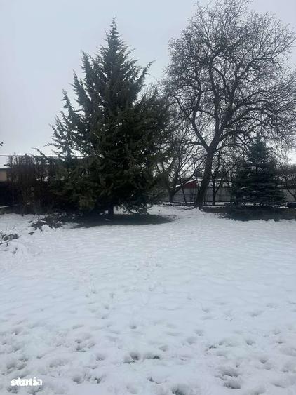 Teren de 300 mp, în Central