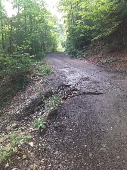 Teren Construcții intravilan de 500 mp, în Central