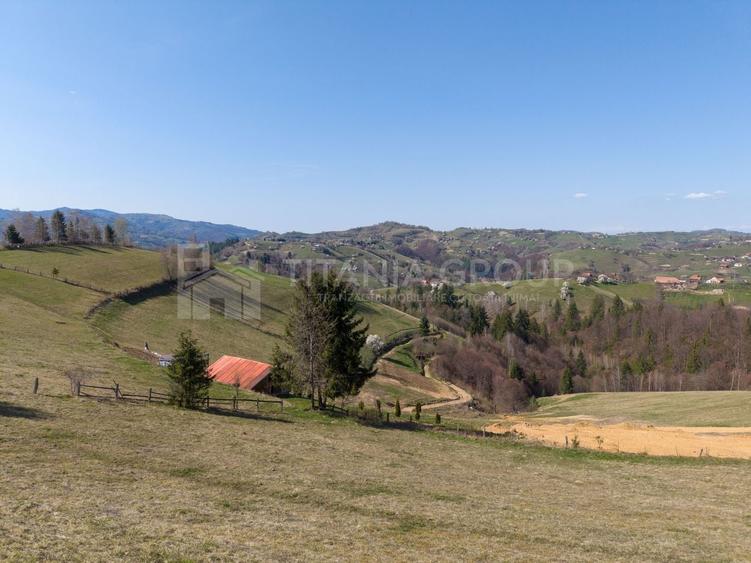 Teren Construcții intravilan de 3791 mp, în Poiana Mărului