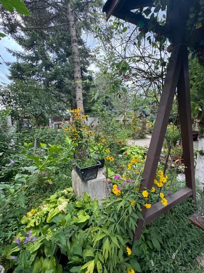 Casă cu 9 camere cu Piscina în Băneasa