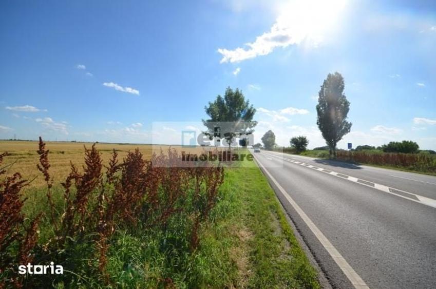 Teren de 28500 mp, în Movilița