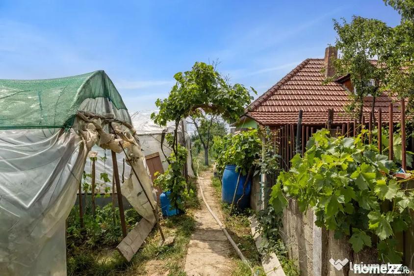 Casă cu 4 camere cu Teren 2422 Mp în Șiria