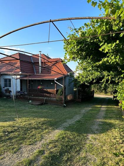 Casă cu 2 camere în Iacobeni