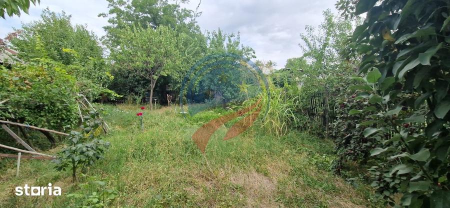 Casa parter cu teren generos de 595 mp, in ?imnicul de Jos Craiova - 18