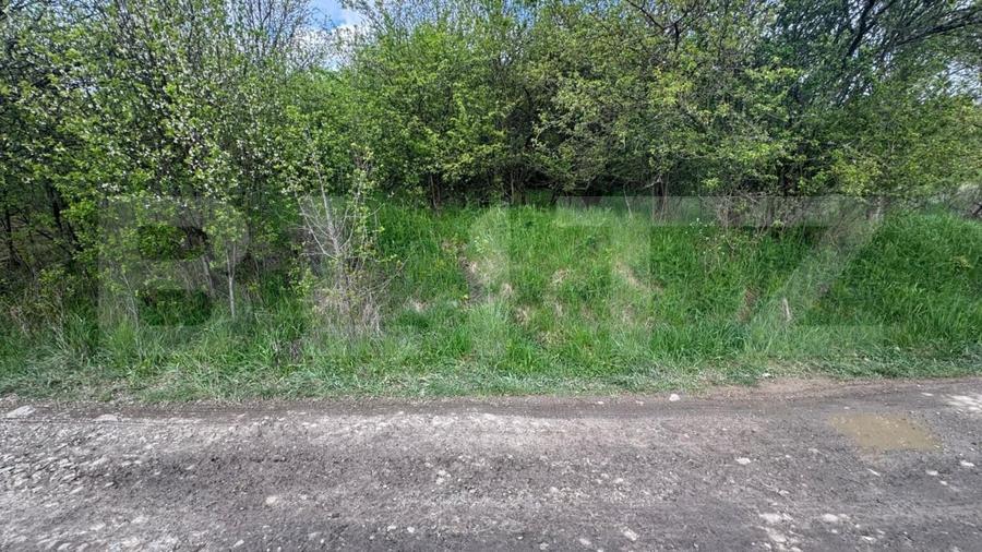 Teren extravilan de vanzare, 2.670 mp, Bistrita - 3