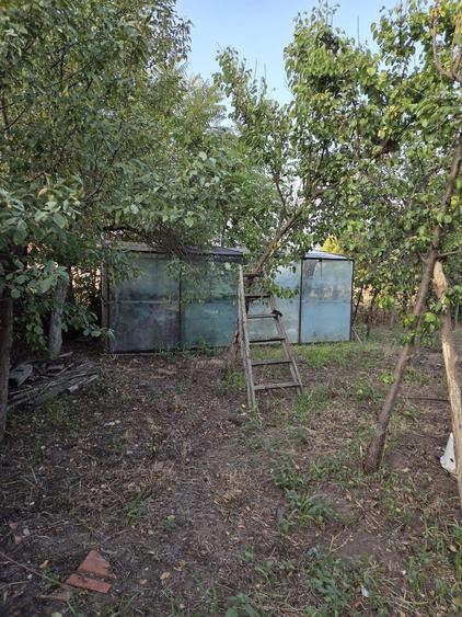 Casă individuală cu 3 camere cu Canalizare în Orțișoara