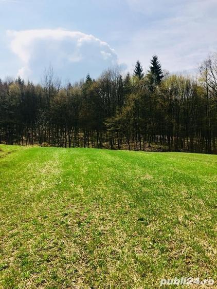 Teren de 5000 mp, în Central