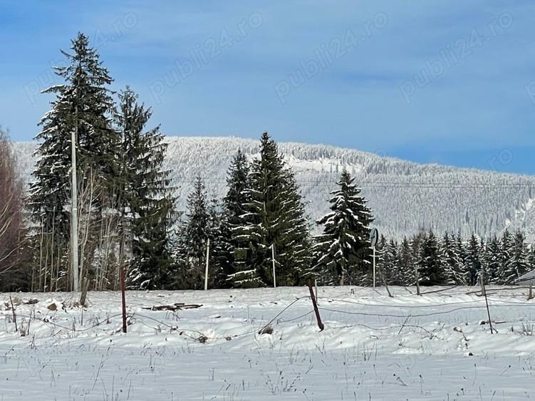 Teren de 1400 mp, în Izvoru Mureșului