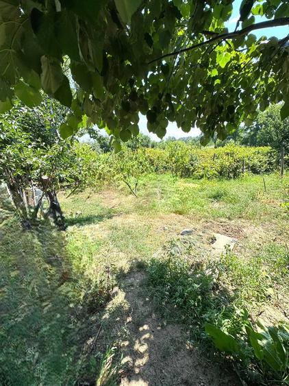 99.900 Euro casa+teren 1000 mp(concesiune) in com Sendreni - 15