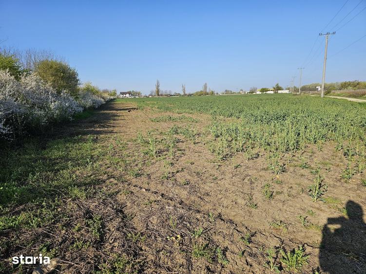 Teren de 10100 mp, în Gorgota