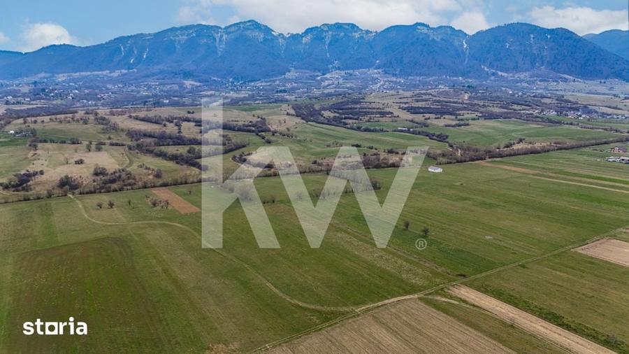 Teren de 1570 mp, în Plaiul Foii
