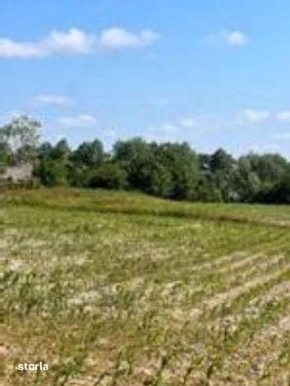 Teren de 1800 mp, în Zvoriștea