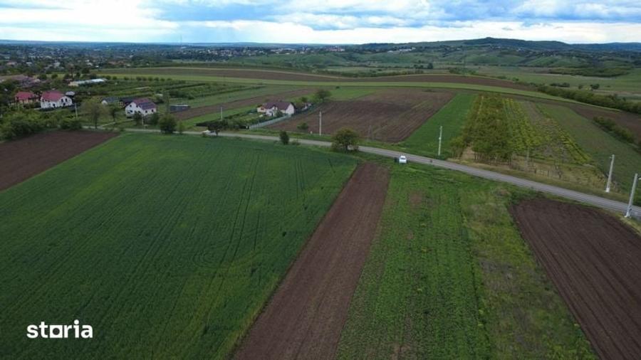 Teren de 5200 mp, în Șendriceni