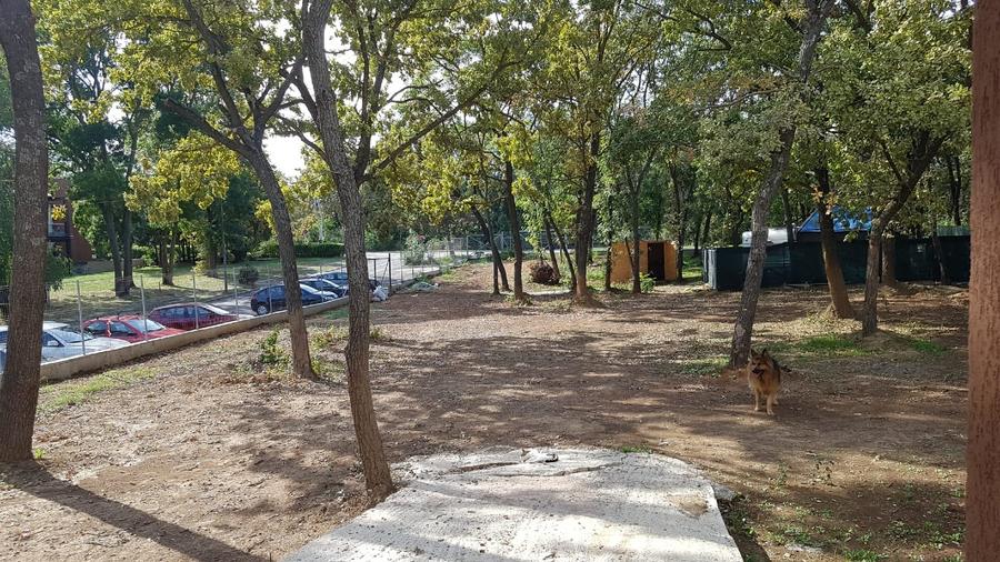 Vanzare 3 apartamente in vila gen bloc vis-à-vis Hotel Doina- NEPTUN - 9
