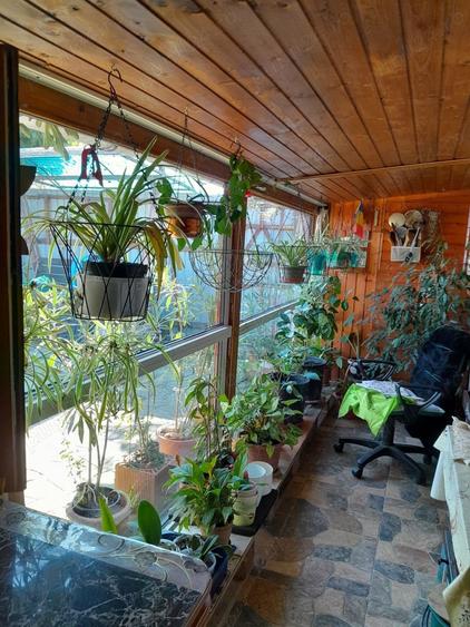 Casă cu 7 camere cu Teren 1420 Mp în Dumbrava