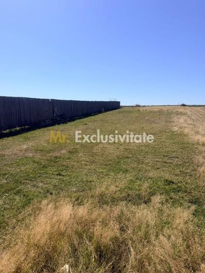 Teren Construcții intravilan de 730 mp, în Războieni