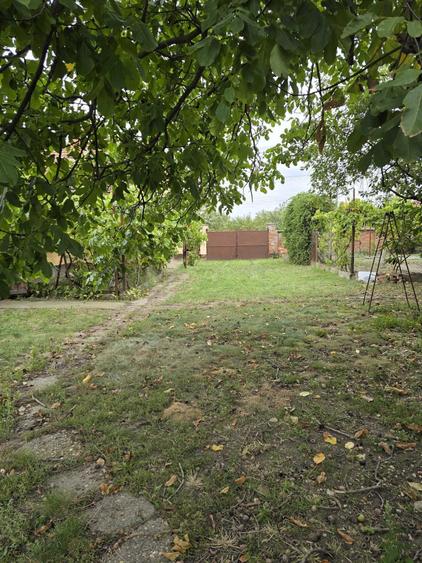 Casă cu 4 camere cu Teren 2500 Mp în Turnu