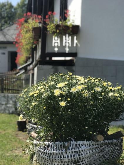 Casa / proprietate de vanzare Hangu Neamt - 4